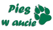 naklejka pies w aucie zielona.jpg