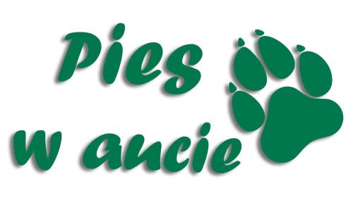 naklejka pies w aucie zielona.jpg