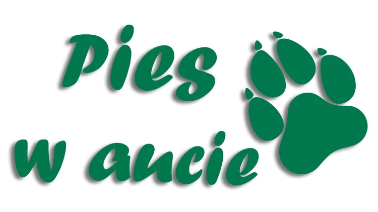 naklejka pies w aucie zielona.jpg