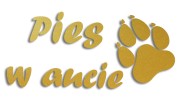 naklejka pies w aucie zlota.jpg