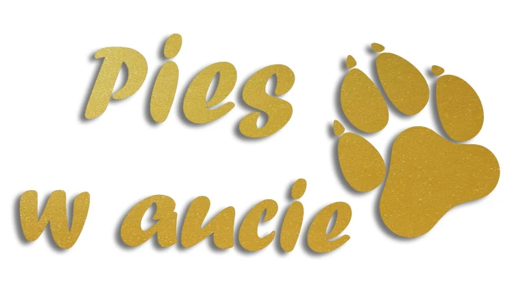 naklejka pies w aucie zlota.jpg