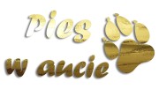 naklejka pies w aucie zloty chrom.jpg