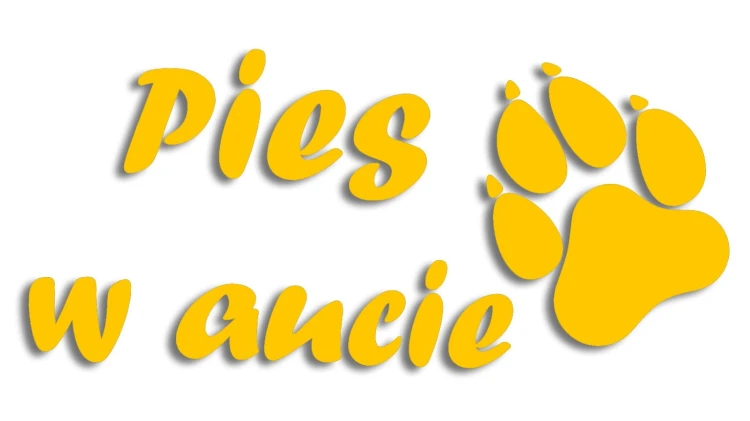 naklejka pies w aucie zolta.jpg