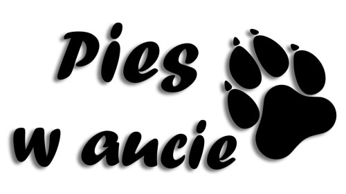 naklejka pies w aucie.jpg