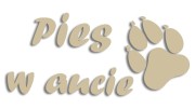 naklejka pies w aucie bezowa.jpg