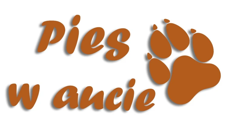 naklejka pies w aucie brazowa.jpg