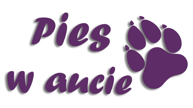 naklejka pies w aucie fioletowa.jpg