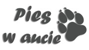 naklejka pies w aucie grafitowa.jpg