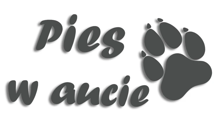 naklejka pies w aucie grafitowa.jpg