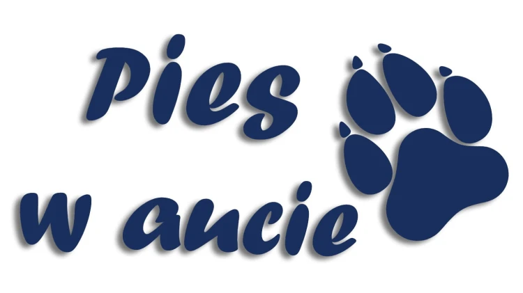 naklejka pies w aucie granatowa.jpg
