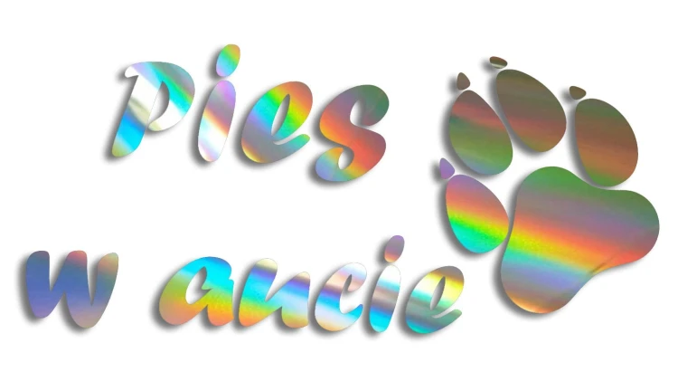 naklejka pies w aucie holograficzna.jpg