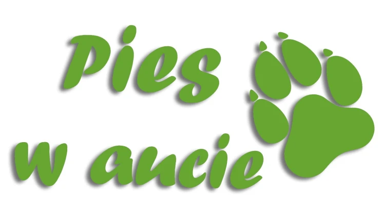 naklejka pies w aucie jasny zielony.jpg