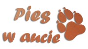 naklejka pies w aucie miedziana.jpg