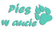 naklejka pies w aucie mietowa.jpg