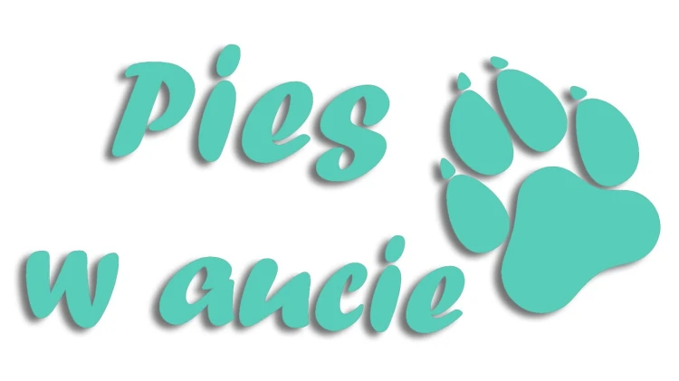 naklejka pies w aucie mietowa.jpg
