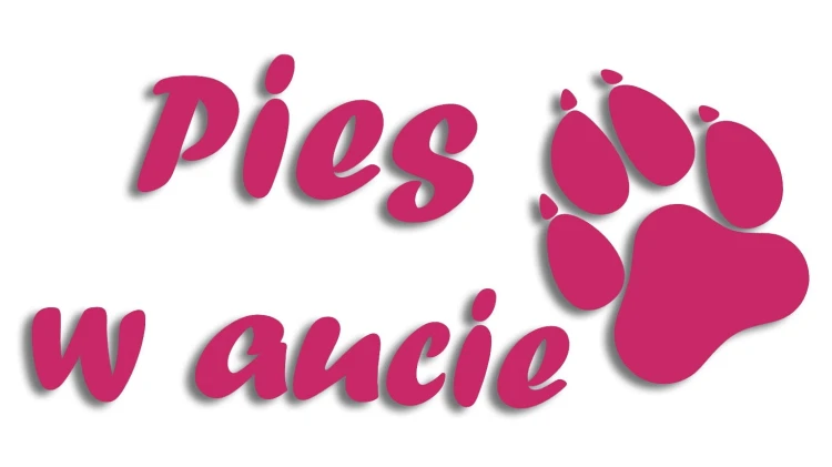 naklejka pies w aucie rozowa.jpg