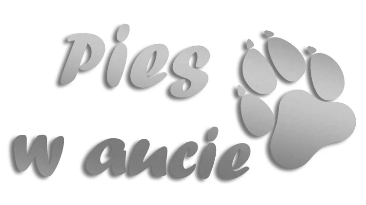 naklejka pies w aucie srebrna.jpg