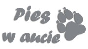 naklejka pies w aucie szara.jpg