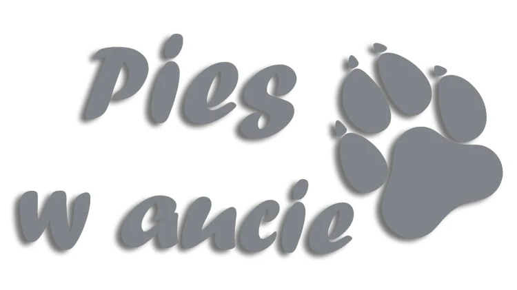 naklejka pies w aucie szara.jpg