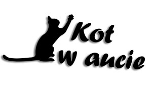 KOT W AUCIE