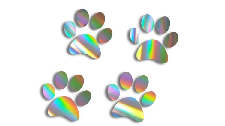 naklejka lapki kot pies 4 szt holograficzna.jpg