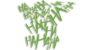 naklejka haha joker jasny zielony.jpg
