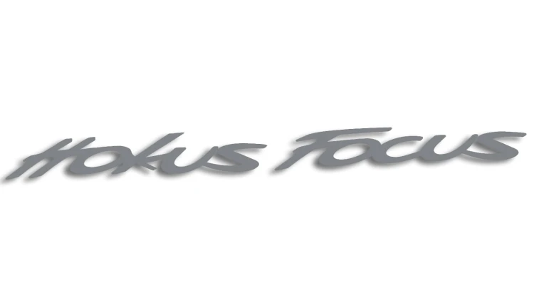 naklejka hokus fokus ford szara.jpg