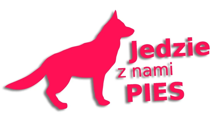 naklejka jedzie z nami pies rozowa neon.jpg