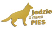 naklejka jedzie z nami pies zlota.jpg