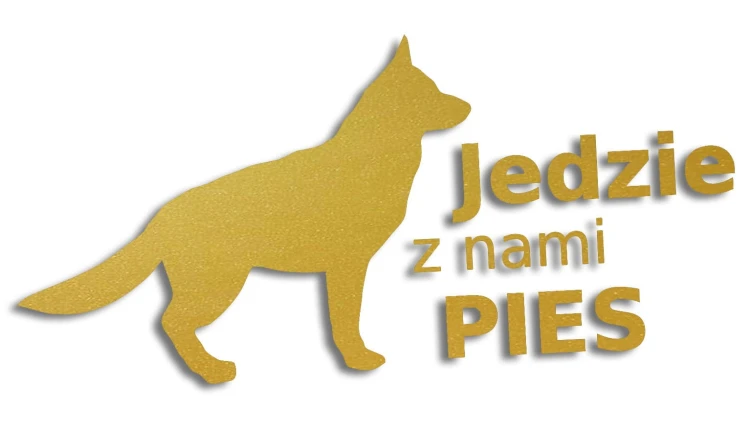 naklejka jedzie z nami pies zlota.jpg