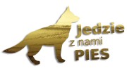 naklejka jedzie z nami pies zloty chrom.jpg