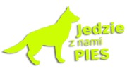 naklejka jedzie z nami pies zolta neon.jpg