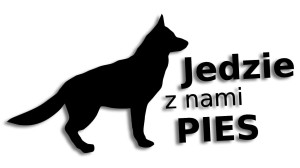 JEDZIE Z NAMI PIES różne kolory