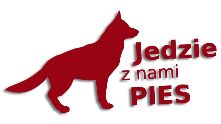 naklejka jedzie z nami pies bordowa.jpg