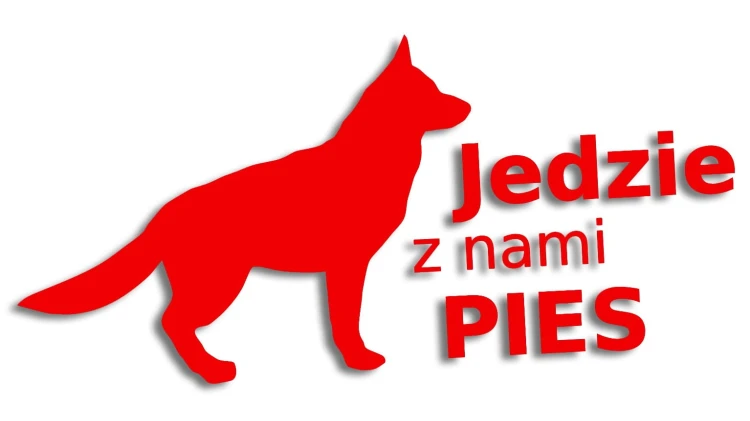 naklejka jedzie z nami pies czerowna neon.jpg