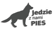 naklejka jedzie z nami pies grafitowa.jpg