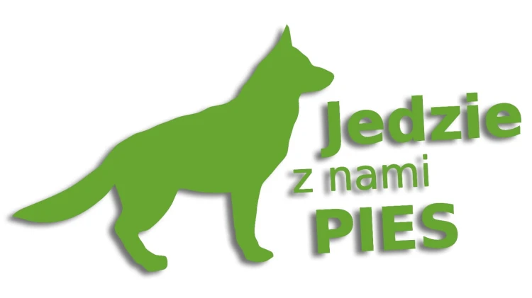 naklejka jedzie z nami pies jasny zielony.jpg
