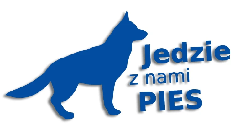 naklejka jedzie z nami pies niebieska.jpg