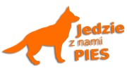 naklejka jedzie z nami pies pomaranczowa.jpg