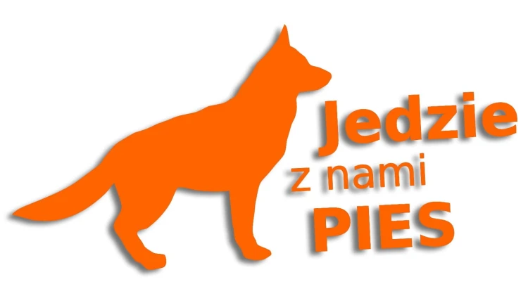 naklejka jedzie z nami pies pomaranczowa neon.jpg
