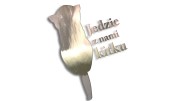 naklejka jedzie z nami kitku chrom.jpg