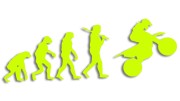 naklejka teoria ewolucji motocross mx zolta neon.jpg