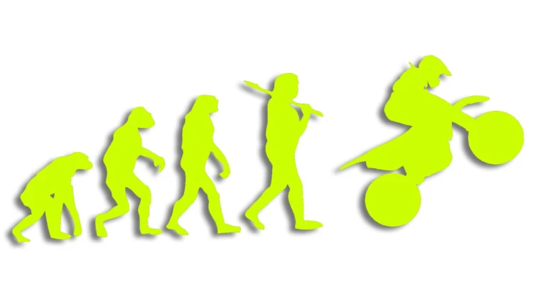naklejka teoria ewolucji motocross mx zolta neon.jpg