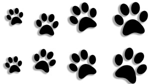 ŁAPKI - kot pies 8 sztuk