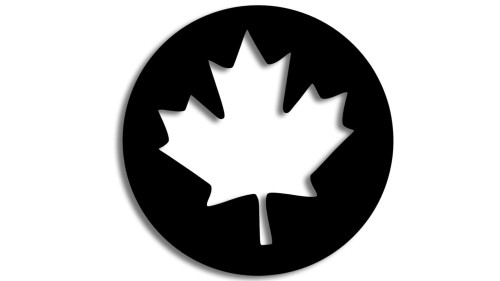 naklejka listek poczatkujacy kierowca.jpg