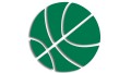 naklejka koszykowka basketball zielona.jpg