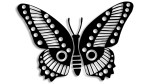 Motyl - motylek