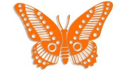 naklejka motyl motylek pomaranczowa.jpg