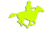 naklejka kon kowboj zolta neon.jpg