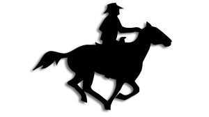 Kowboj koń (cowboy)